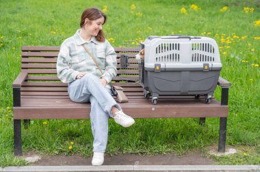 Sahibi Jack Russell Terrier ile birlikte güvenli bir yolculuk için bankta oturuyor.