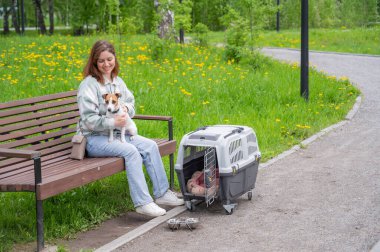 Sahibi Jack Russell Terrier ile birlikte güvenli bir yolculuk için bankta oturuyor.