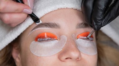 Profesyonelce katlama, kirpik boyama ve kaş boyama süreci. Dört elli prosedür