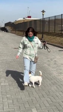 Beyaz kadın köpeğini gezdiriyor. Jack Russell Terrier sahiplerinin emirlerine uyar.