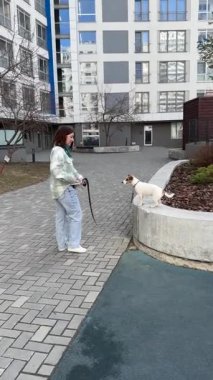 Beyaz kadın Jack Russell Terrier köpeğini yürüyüşe çıkarıyor.