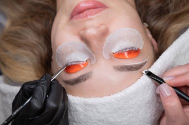 Profesyonelce katlama, kirpik boyama ve kaş boyama süreci. Dört elli prosedür