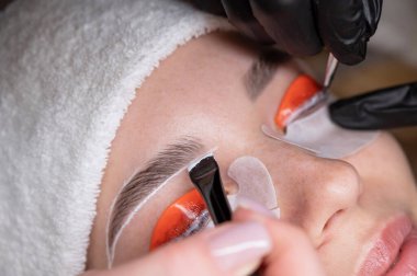 Profesyonelce katlama, kirpik boyama ve kaş boyama süreci. Dört elli prosedür