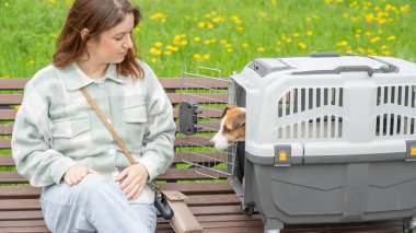 Sahibi Jack Russell Terrier ile birlikte güvenli bir yolculuk için bankta oturuyor.