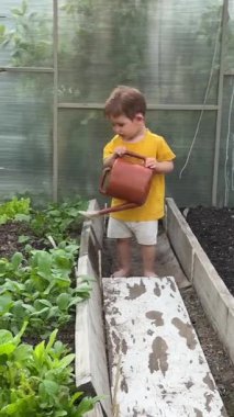 Küçük beyaz bir çocuk sulama kabındaki bitkileri suluyor.