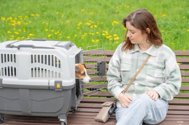 Sahibi Jack Russell Terrier ile birlikte güvenli bir yolculuk için bankta oturuyor.