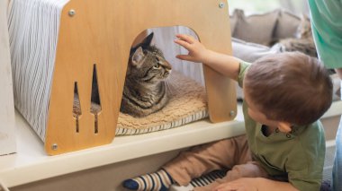 Kafkasyalı küçük bir çocuk bir kedi kafesinde