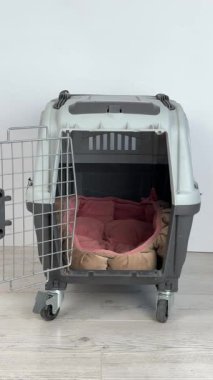 Jack Russell Terrier köpeği seyahat gemisine giriyor. Dikey video