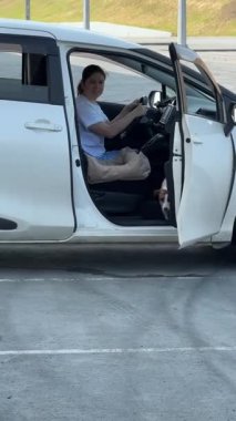 Kadın köpeğiyle arabada seyahat ediyor. Jack Russell Terrier arabadan kaçar.