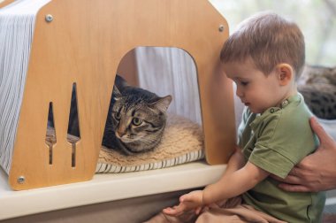 Kafkasyalı küçük çocuk kedi kafesinde tekir kedinin yanında.