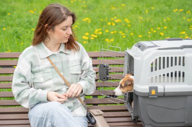 Sahibi Jack Russell Terrier ile birlikte güvenli bir yolculuk için bankta oturuyor.