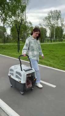 Beyaz kadın köpekle seyahat ediyor. Sahibi Jack Russell Terrier 'ı gezdirir ve güvenli bir yolculuk için kafesi taşır..