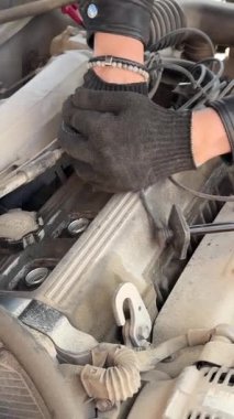 Beyaz adam bujileri değiştiriyor ve yüksek voltajlı kabloları söküyor.