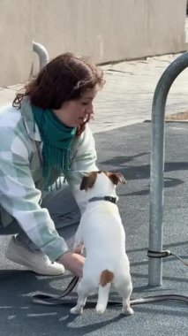 Beyaz kadın Jack Russell Terrier köpeğini çözdü.
