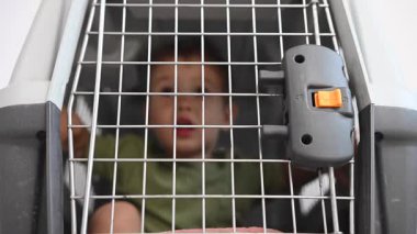 Kapalı bir kafeste küçük bir çocuk