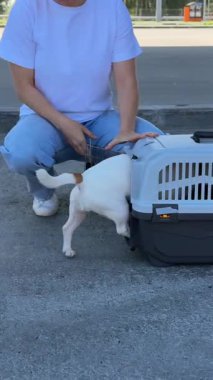 Beyaz kadın, köpek taşıyıcısını arabanın bagajına koymuş.