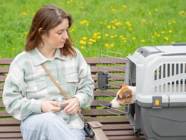 Sahibi Jack Russell Terrier ile birlikte güvenli bir yolculuk için bankta oturuyor.