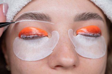 Profesyonelce katlama, kirpik boyama ve kaş boyama süreci.