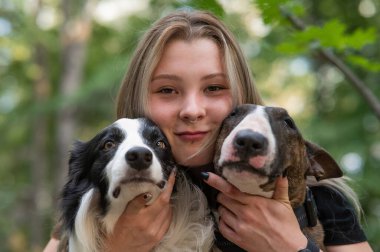  Bu yürek ısıtan görüntü, iki sevimli köpeği yüzüne yakın tutarak bir insanı neşeyle yakalar. İlk köpek bir brindle Bull Terrier. İkinci köpek büyüleyici bir Collie.