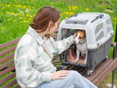 Sahibi Jack Russell Terrier ile birlikte güvenli bir yolculuk için bankta oturuyor.
