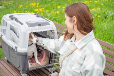 Sahibi Jack Russell Terrier ile birlikte güvenli bir yolculuk için bankta oturuyor.