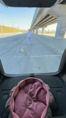 Beyaz kadın Jack Russell Terrier köpeğiyle bagaj kapısını kapatıyor.