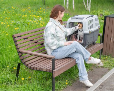 Sahibi Jack Russell Terrier ile birlikte güvenli bir yolculuk için bankta oturuyor.
