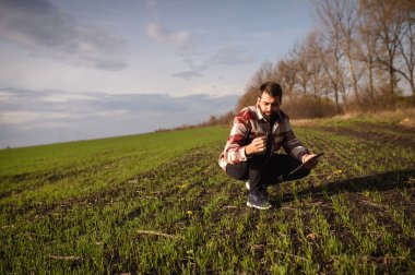 Farmer on a wheat field with a tablet in his hands. Smart farm. Agriculture, gardening or ecology concept
