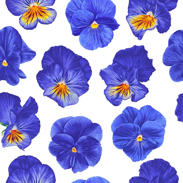 Φωτεινό Μπλε Φόντο Ρεαλιστικά Λουλούδια Πανσέδες Ιδιαίτερα Λεπτομερή Χειροποίητα Vector — Διανυσματικό Αρχείο