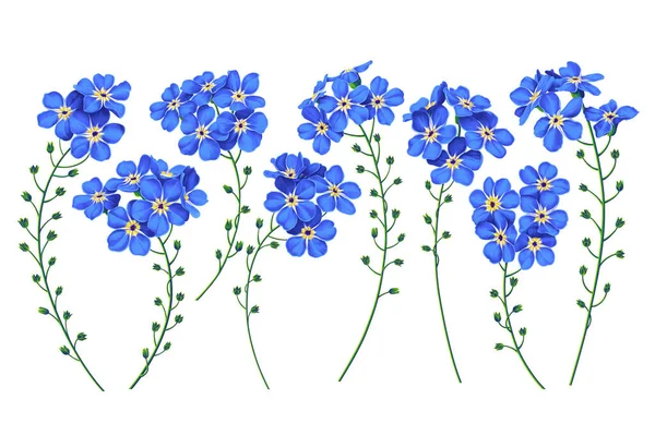 Vector Oublie Moi Pas Les Fleurs Éléments Clip Art Floraux — Image vectorielle