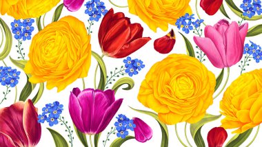 Floral background with bright spring May flowers. Yellow Ranunculus and colorful Tulips. Hand-drawn vector realistic flowers. Template for postcards, advertising banners, clothing prints.