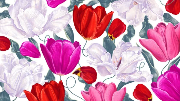 Botanical Spring Background Tulips White Pink Red Vector Flowers Background — Stok Vektör