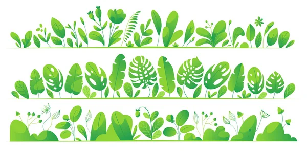 Ένα Σύνολο Από Έντονα Πράσινα Και Μαρούλια Τροπικά Φύλλα Και — Διανυσματικό Αρχείο