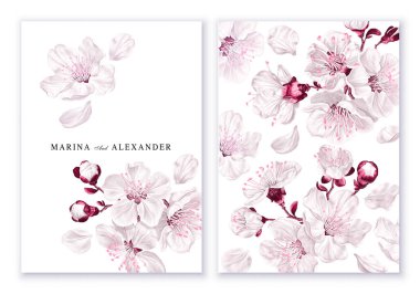 Minimalist kartların şablonları, düğün davetiyeleri, bahar çiçekli broşürler. Açık arkaplanda beyaz ve pembe sakura çiçekleri. Gerçekçi, elle çizilmiş vektör çiçekleri, yüksek detaylar