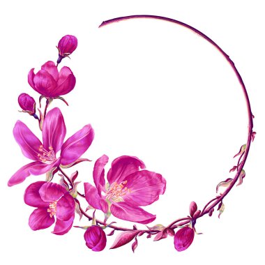 Pembe kiraz çiçeğinin vektör dalı yuvarlak bir çerçevede sıralanmış. Bahar meyvesi ağacının gerçekçi dalı. Tasarımınız, kartpostallarınız, reklamlarınız, sosyal medya paylaşımlarınız için ayrıntılı elle çizilmiş clipart ögesi