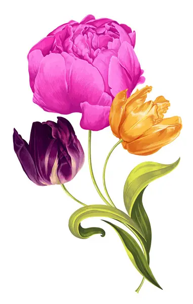 Květinová Kytice Tulipány Pivoňky Mnohobarevné Jarní Květiny Uspořádané Minimalistické Kompozici Stock Ilustrace