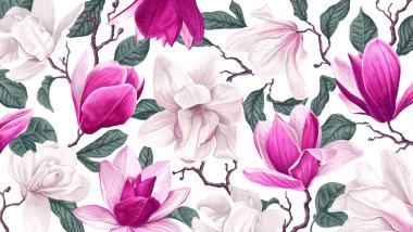 Çiçekli arka plan, pembe ve beyaz manolyalar. Beyaz arka planda açan bahar dalları. Tamamen el çizimi botanik çizimler. Bilgisayar ve afiş sosyal ağları için arkaplan