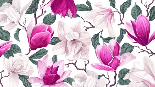 Çiçekli arka plan, pembe ve beyaz manolyalar. Beyaz arka planda açan bahar dalları. Tamamen el çizimi botanik çizimler. Bilgisayar ve afiş sosyal ağları için arkaplan