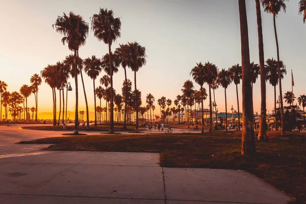 Лос Анджелес Каліфорнія Сша Вересня Вид Захід Сонця Венеція Біч — стокове фото