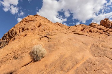 Valley Of Fire, Nevada, USA - September 16 - view of the Valley of Fire landscape
