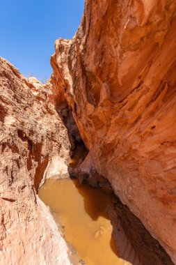 Valley Of Fire, Nevada, USA - September 16 - view of the Valley of Fire landscape