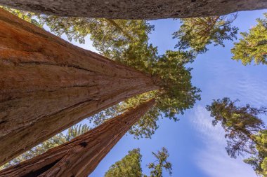 Sequoia National Park, California, USA - September 17 - view of the Sequoia National Park landscape