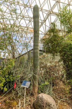 Biyosfer 2 'nin içinde Tucson, Arizona, ABD