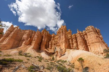 Doğal görünümünü kırmızı kumtaşı hoodoos Bryce Canyon Milli Parkı'nda Utah, ABD