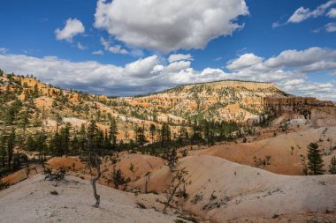 Doğal görünümünü kırmızı kumtaşı hoodoos Bryce Canyon Milli Parkı'nda Utah, ABD