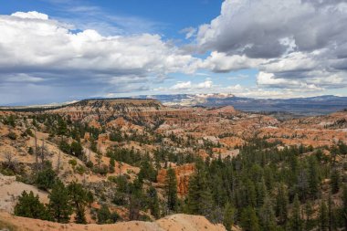Doğal görünümünü kırmızı kumtaşı hoodoos Bryce Canyon Milli Parkı'nda Utah, ABD