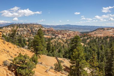 Doğal görünümünü kırmızı kumtaşı hoodoos Bryce Canyon Milli Parkı'nda Utah, ABD