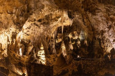 Carlsbad Caverns National Park in New Mexico, USA clipart