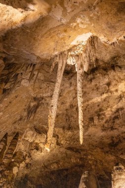 Carlsbad Mağaraları New Mexico, ABD 'deki Ulusal Parkı