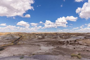 Taşlaşmış orman Milli Parkı Arizona, ABD